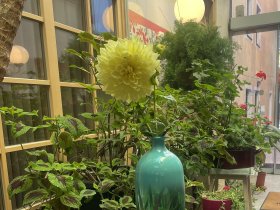 Auszeit vom Alltag inkl. kulinarischem Genuss  | 1  Nacht 