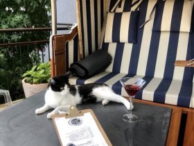 Auszeit vom Alltag inkl. kulinarischem Genuss  | 1  Nacht 