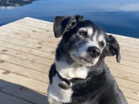 Auszeit vom Alltag inkl. kulinarischem Genuss  | 1  Nacht 