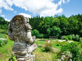 FASTEN - Kraft und Leichtigkeit durch Yoga & Fasten 