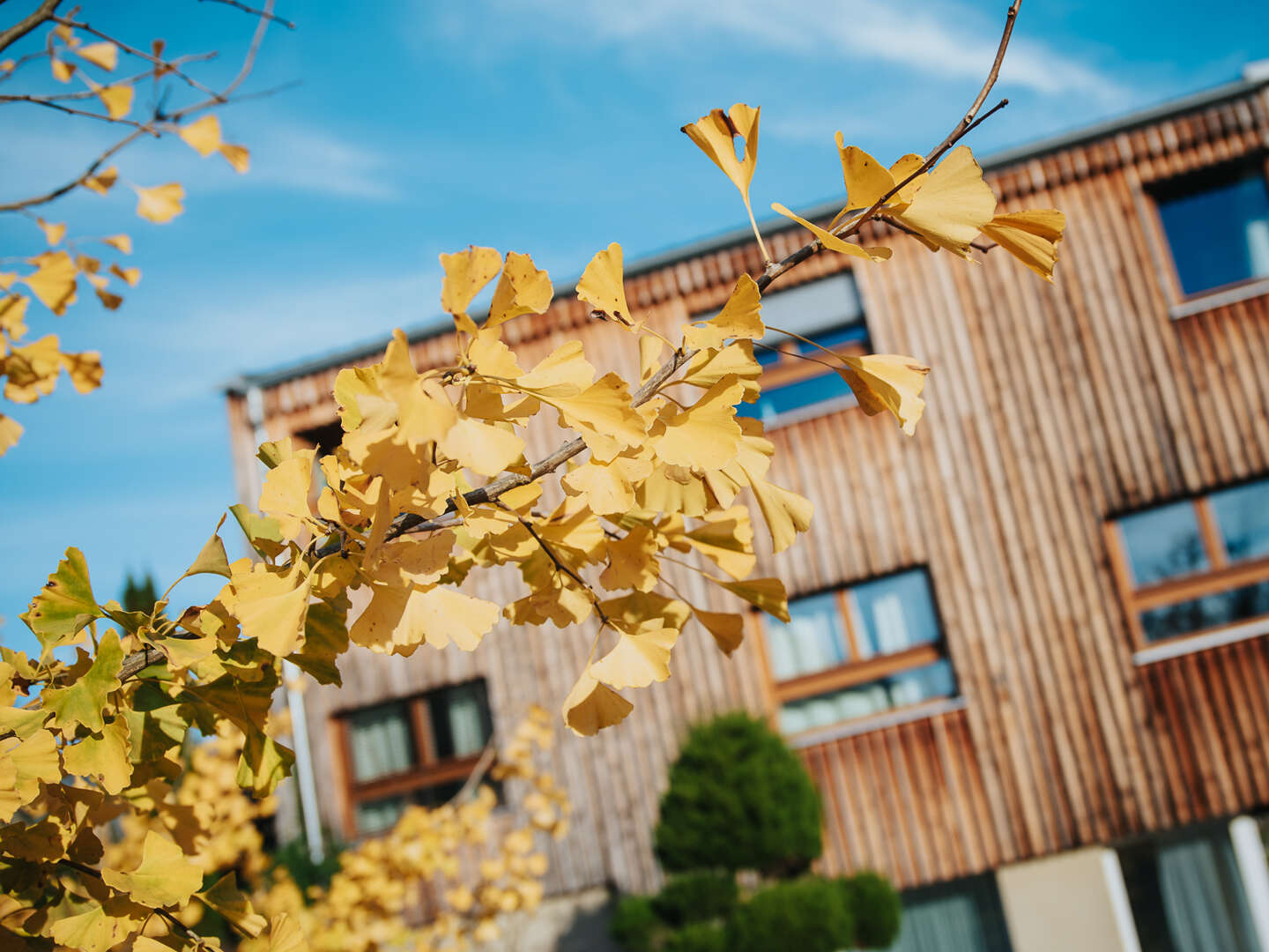 Erholungsurlaub im Naturhotel in der Steiermark inkl. veganer Halbpension | 1 Nacht