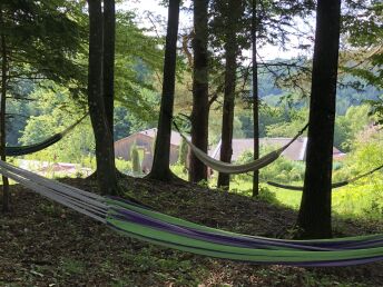 Erholungsurlaub im Naturhotel in der Steiermark inkl. veganer Halbpension | 1 Nacht