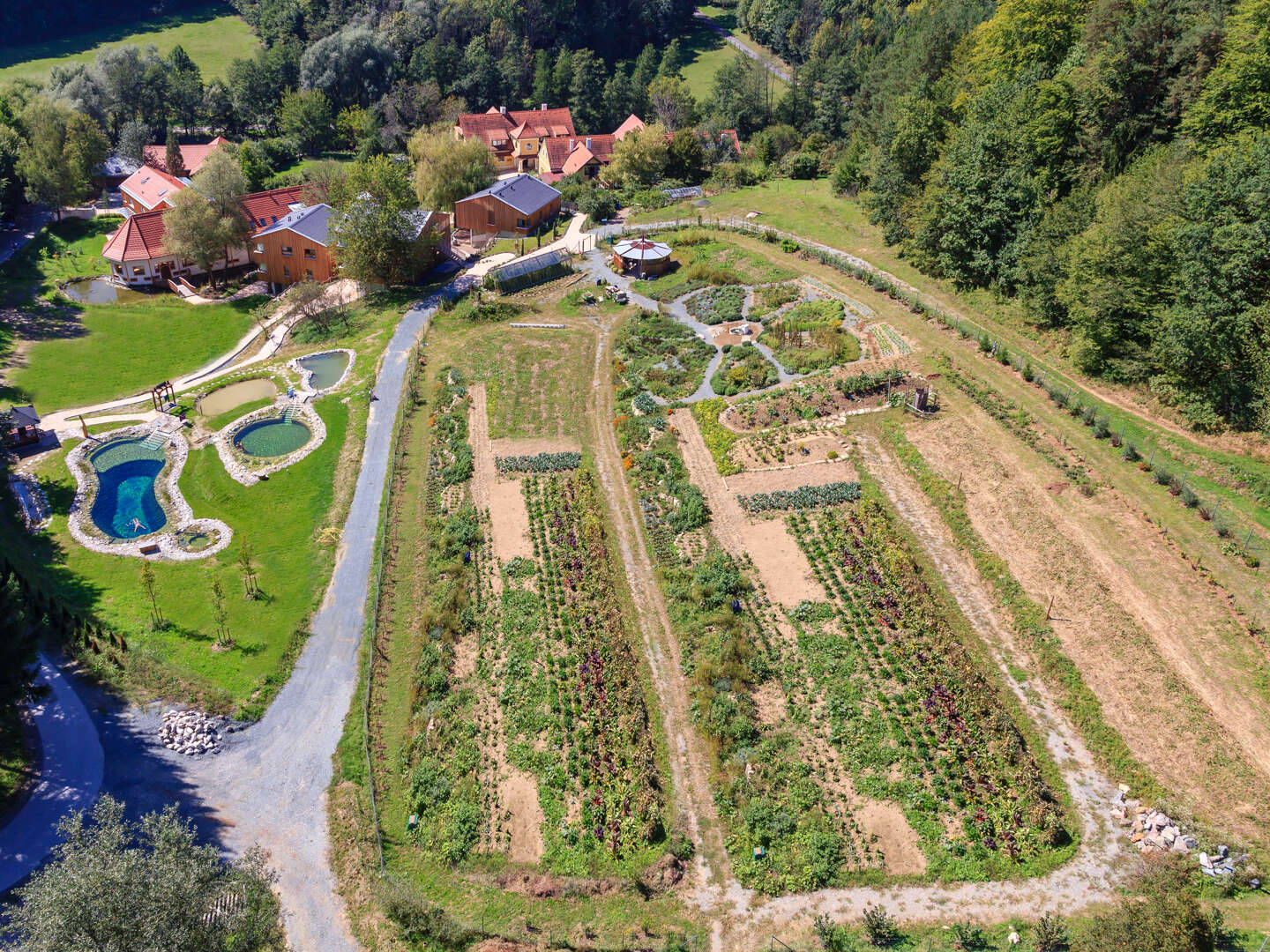 Erholungsurlaub im Naturhotel in der Steiermark inkl. veganer Halbpension | 1 Nacht