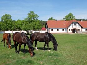 Entspannung im Wiejce Schloss