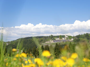 Aktivtage auf Burg Kreuzen | Entdecken Sie das 1. Wanderdorf in OÖ!