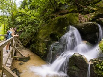 Aktivtage auf Burg Kreuzen | Entdecken Sie das 1. Wanderdorf in OÖ!