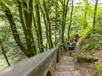Aktivtage auf Burg Kreuzen | Entdecken Sie das 1. Wanderdorf in OÖ!
