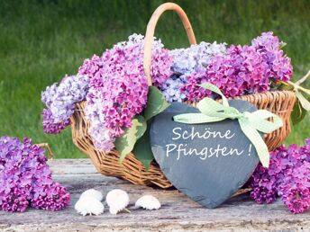 Pfingsten in Mecklenburg - Parchim und Kunst offen