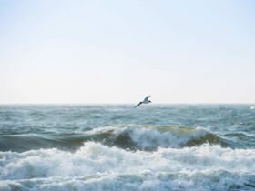 Luxus-Auszeit auf Sylt – Hotel Duene Rantum