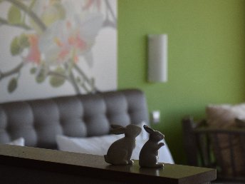 4 Tage Auszeit am Bodensee - Bio, Genuss & Ruhe pur!