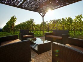 4 Tage Auszeit am Bodensee - Bio, Genuss & Ruhe pur!