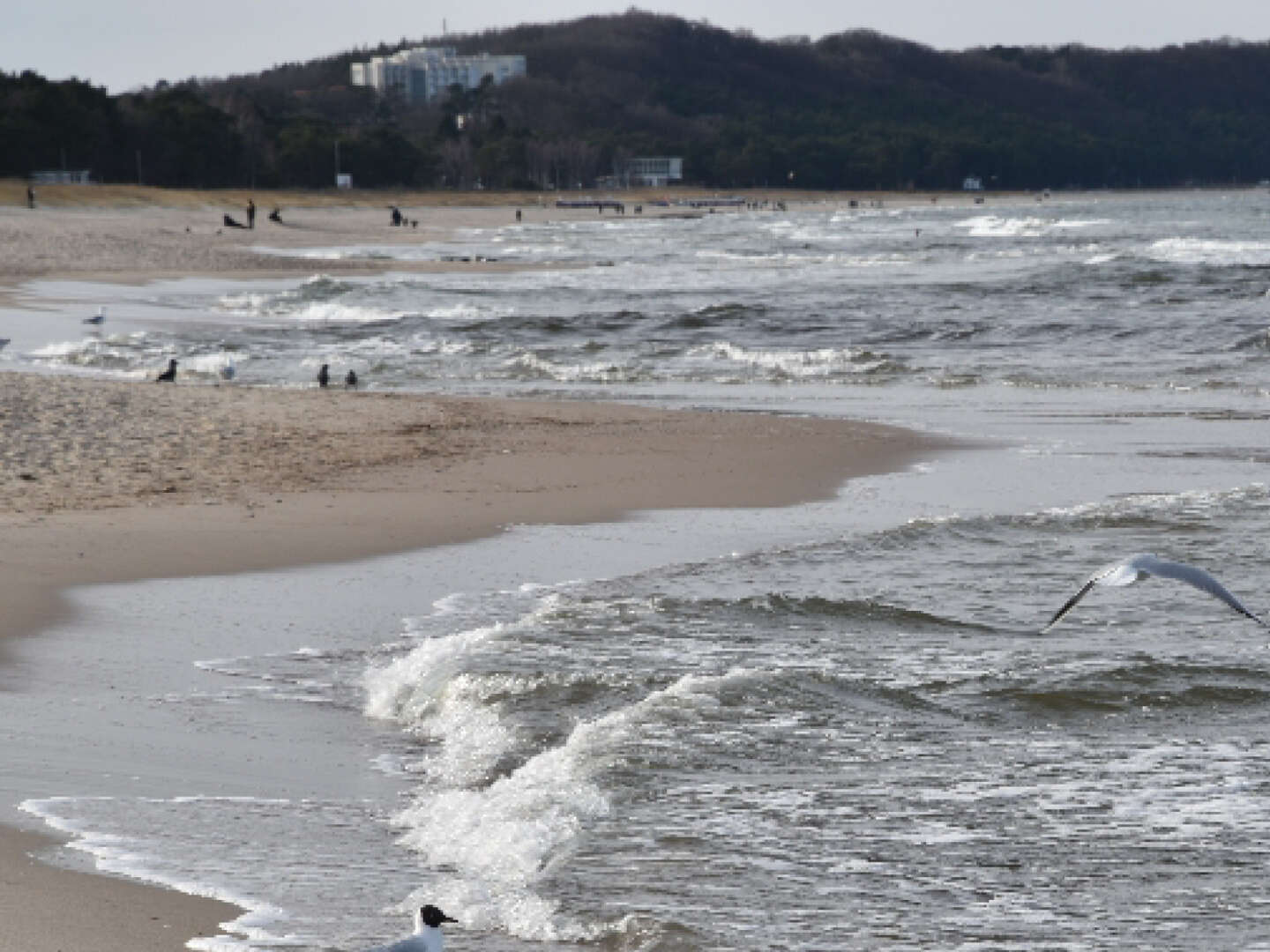 Kleine Auszeit in den Frühling nach Göhren auf Rügen