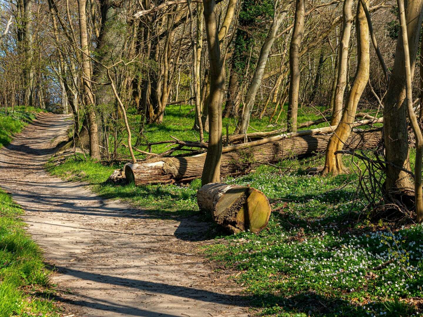 Kleine Auszeit in den Frühling nach Göhren auf Rügen