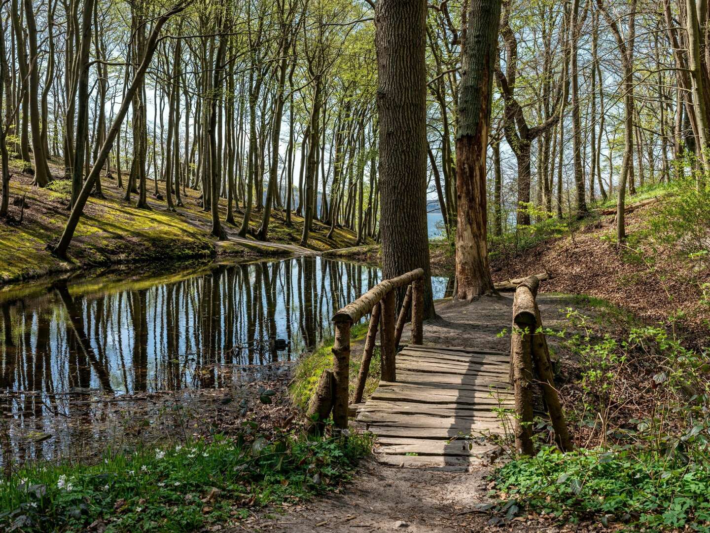Kleine Auszeit in den Frühling nach Göhren auf Rügen