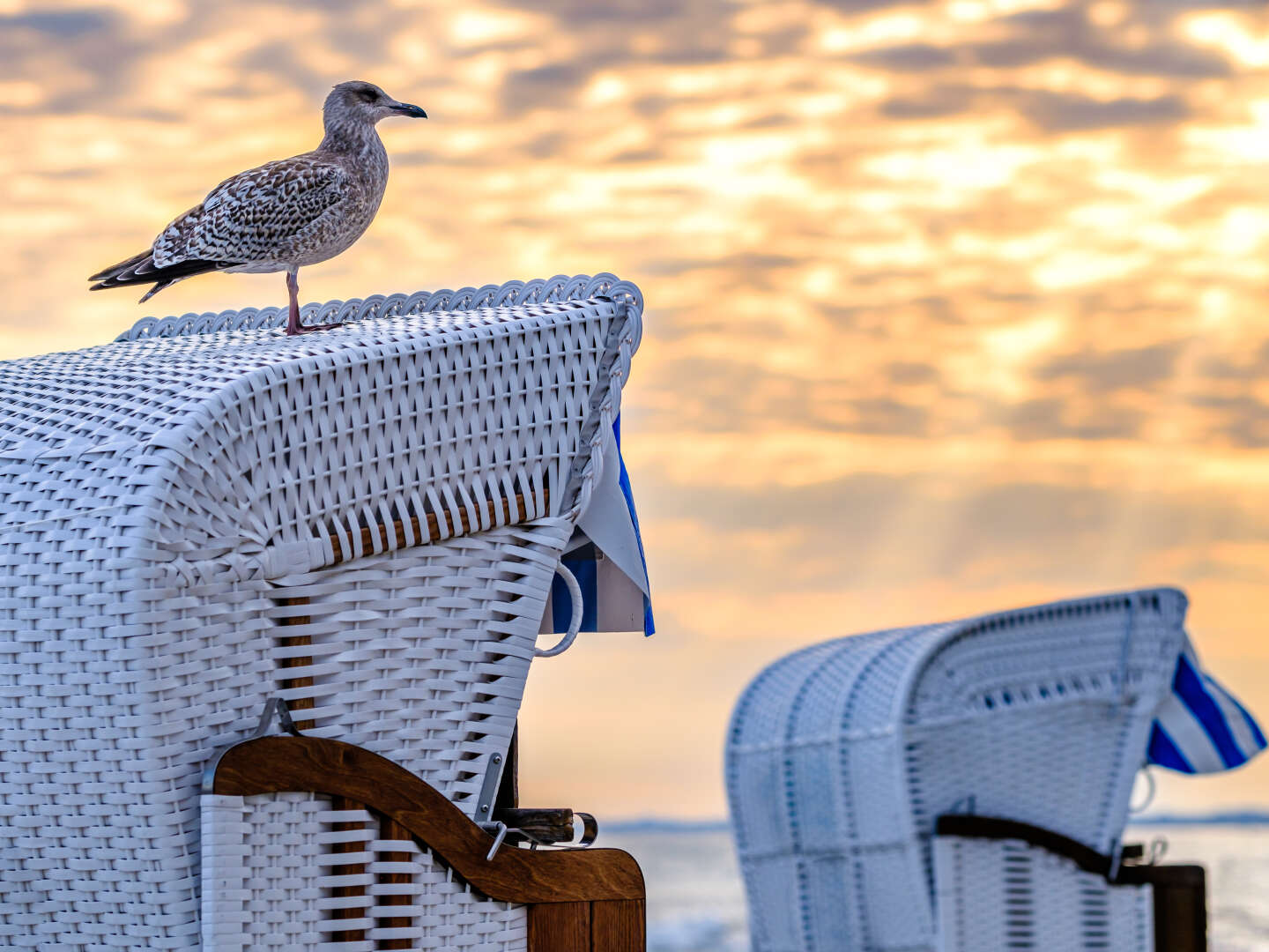 Kleine Auszeit in den Frühling nach Göhren auf Rügen