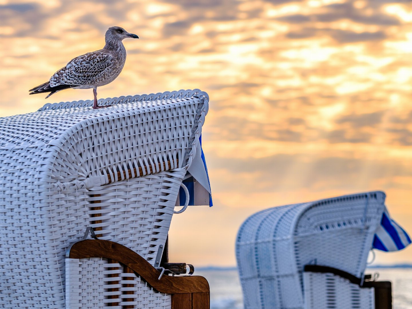 Lust auf Meer... Erleben Sie eine pure Auszeit voller Entspannung im Ostseebad Göhren