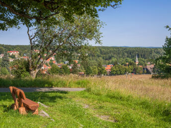 3 Tage Spar-Erlebnis-Paket Harz inkl. 48h Harzcard 