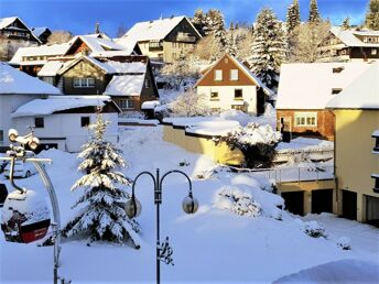 3 Tage Spar-Erlebnis-Paket Harz inkl. 48h Harzcard 