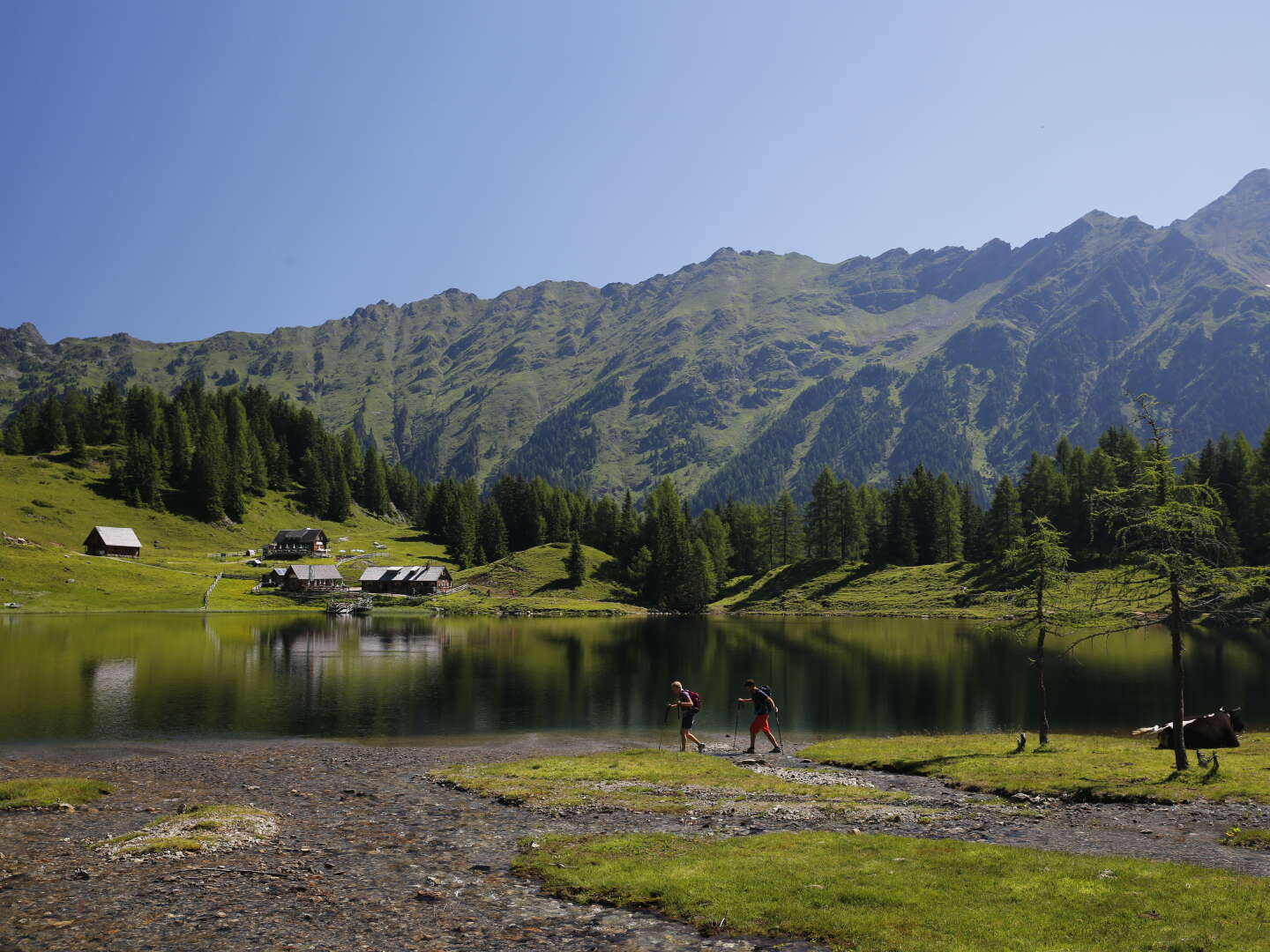 Frühlingshafte Auszeit in der Region Schladming Dachstein / 4 Tage