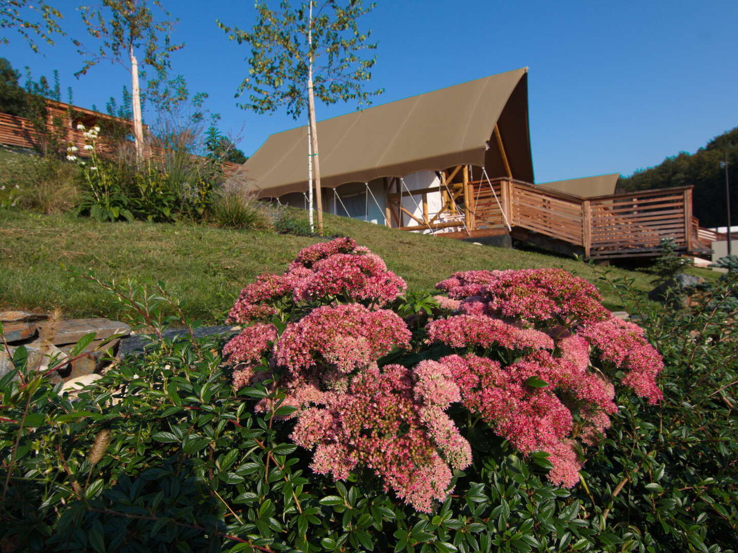 Glamping Villa - Luxus Camping in Natur & Therme in Slowenien | 5 Nächte