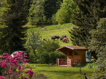 Romantische Auszeit vom Alltag im Schwarzwald