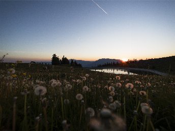Kletterspaß & Wohlfühlmomente: Dein Aktivurlaub in Slowenien | 4 Nächte
