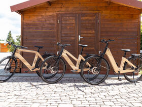 3 Tage Frühlings-Special Kurzurlaub - Auszeit in der Weinregion Rheinhessen  