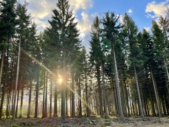 6 Tage | Kurzurlaub in Winterberg inkl. Sauerland Card