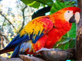 Winterlicher Familienurlaub inmitten der Nockberge & Hohe Tauern inkl. Kids Club | 2 Nächte  