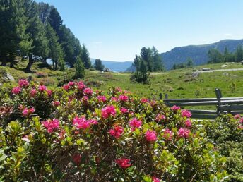 Herbstfarben im Wanderparadies Nockberge | 1. Nacht GRATIS inkl. Kärnten Card | 5 Nächte