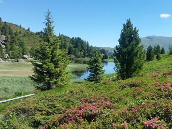 Herbstfarben im Wanderparadies Nockberge | 1. Nacht GRATIS inkl. Kärnten Card | 5 Nächte