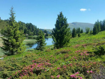 Herbstfarben im Wanderparadies Nockberge | 1. Nacht GRATIS inkl. Kärnten Card | 5 Nächte