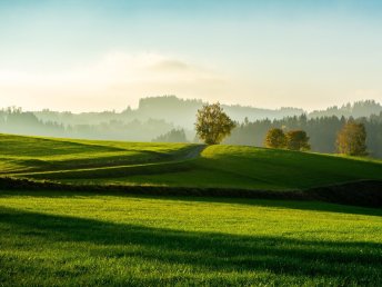 Christi Himmelfahrt in Hagenberg im Mühlviertel | 2 Nächte 