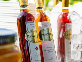 Kurzurlaub in der Region Neusiedler See inkl. Weinverkostung | 2 Nächte