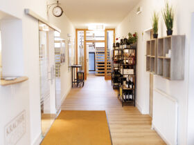 Kurzurlaub in der Region Neusiedler See inkl. Weinverkostung | 2 Nächte