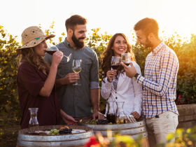 Kurzurlaub in der Region Neusiedler See inkl. Weinverkostung | 2 Nächte