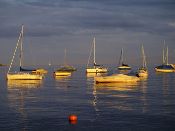Genießer Tage am Bodensee - 6 Tage