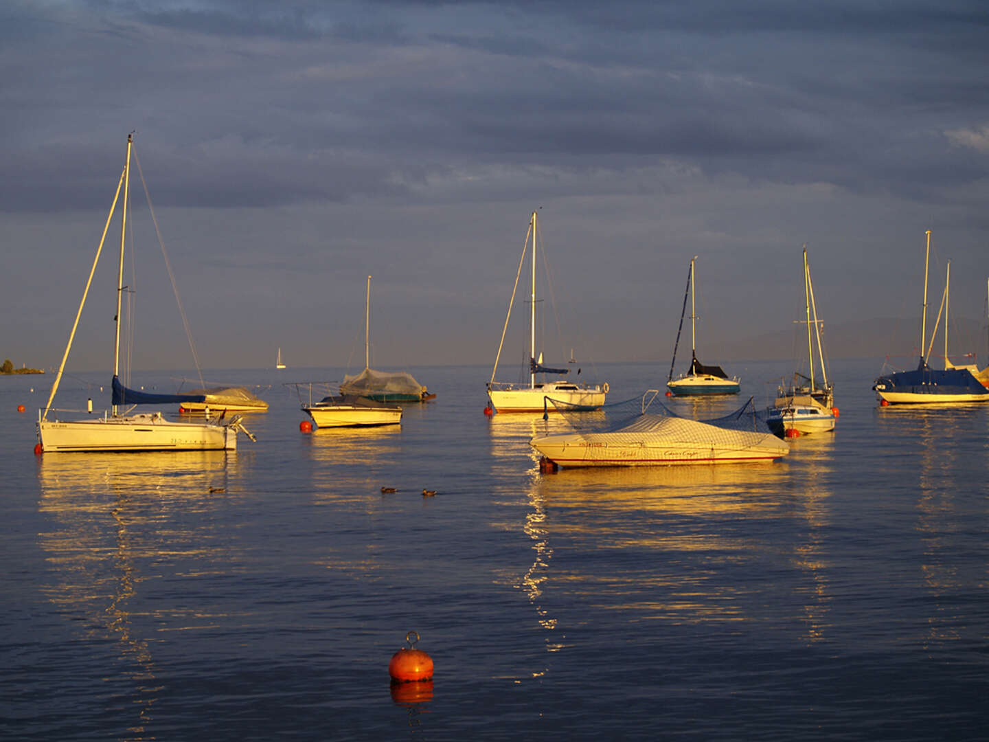 Genießer Tage am Bodensee - 6 Tage