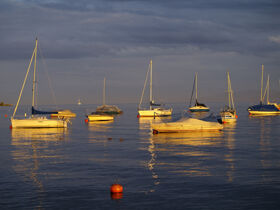 Frühlingserwachen am Bodensee inkl. Schifffahrt - 7 Tage