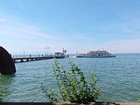 Frühlingserwachen am Bodensee inkl. Schifffahrt - 7 Tage