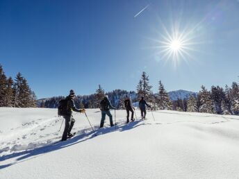 4=3 Special kleine Auszeit im Appartement im Alpbachtal 2