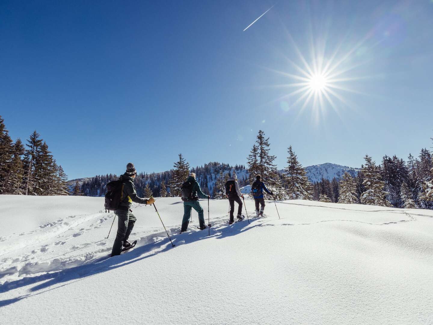 4=3 Special kleine Auszeit im Appartement im Alpbachtal 2