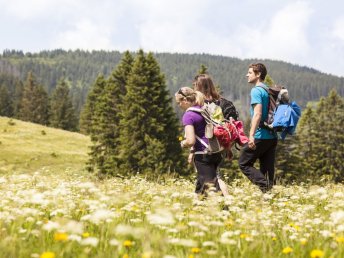 Outdoor-Erlebnisse im Murtal – Aktivurlaub für Natur- und Sportliebhaber I 3 Nächte 