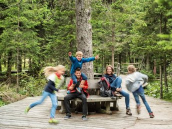 Outdoor-Erlebnisse im Murtal – Aktivurlaub für Natur- und Sportliebhaber I 6 Nächte 
