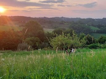 Genuss & Therme im Burgenland inkl. Thermenermäßigung | 4 Nächte