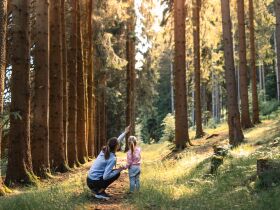 Herbst genießen, alpinen Ferienort in Slowenien erleben inkl. Halbpension & 1 Kind gratis | 4 Nächte
