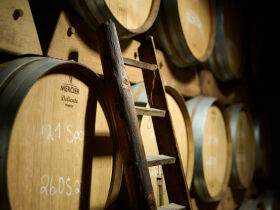 Love is Love - 3 Tage im Weinhotel mit Weingut in der Pfalz