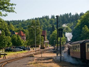 4 Tage Auszeit vom Alltag im Selketal