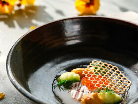 Traumhafte Tage im slowenischen Schlosshotel 2025| 1 Nacht