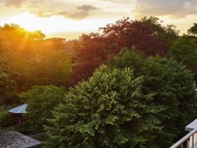 Die Weihnachtszeit in Potsdam